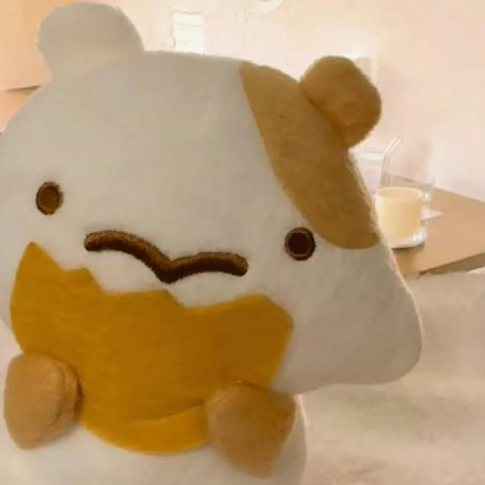 内向面包片🍞
