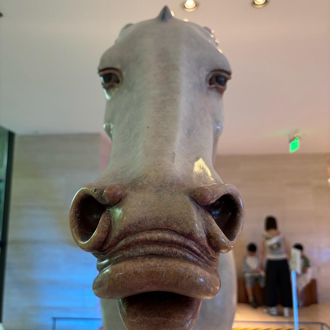 风靡