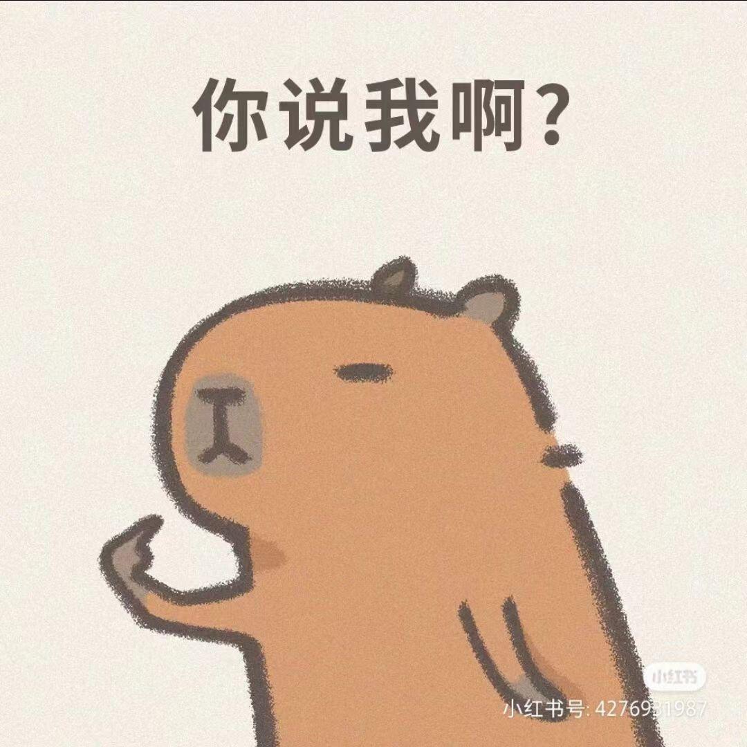 薛定谔的光猫