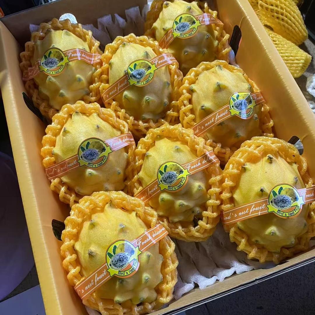 海岛佳果农业