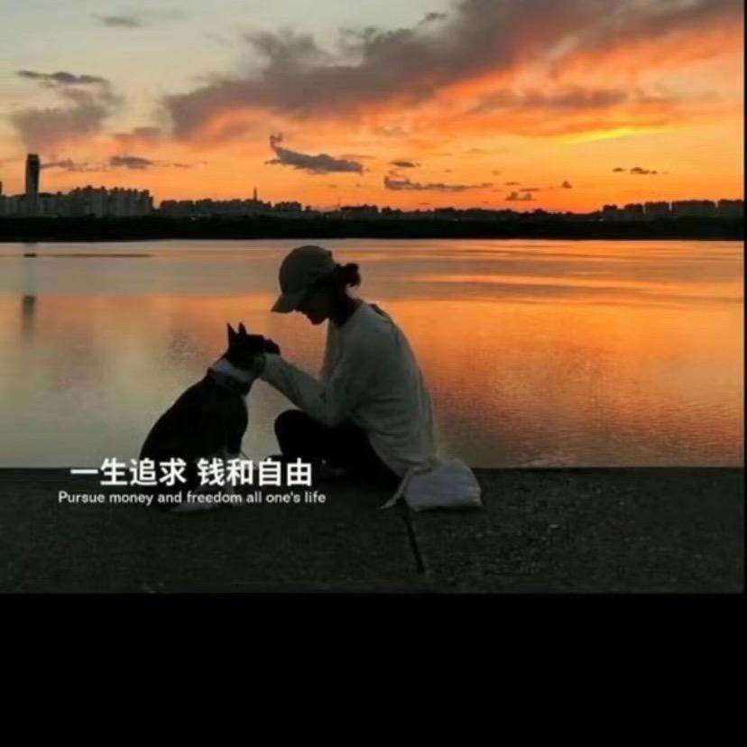 爱妃