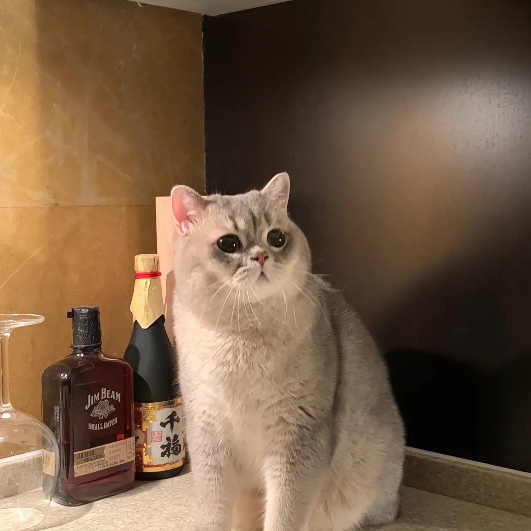 可乐盖