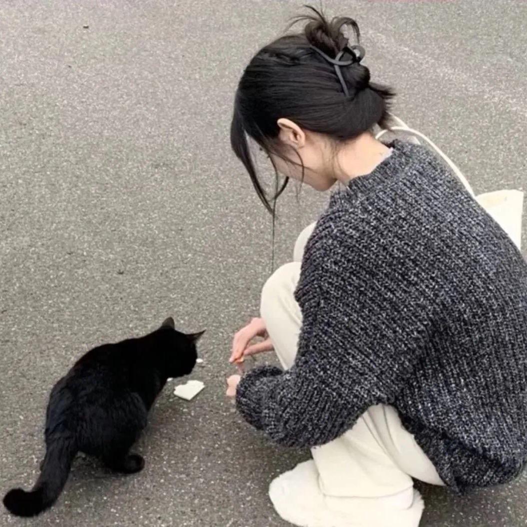 天才小铁锤