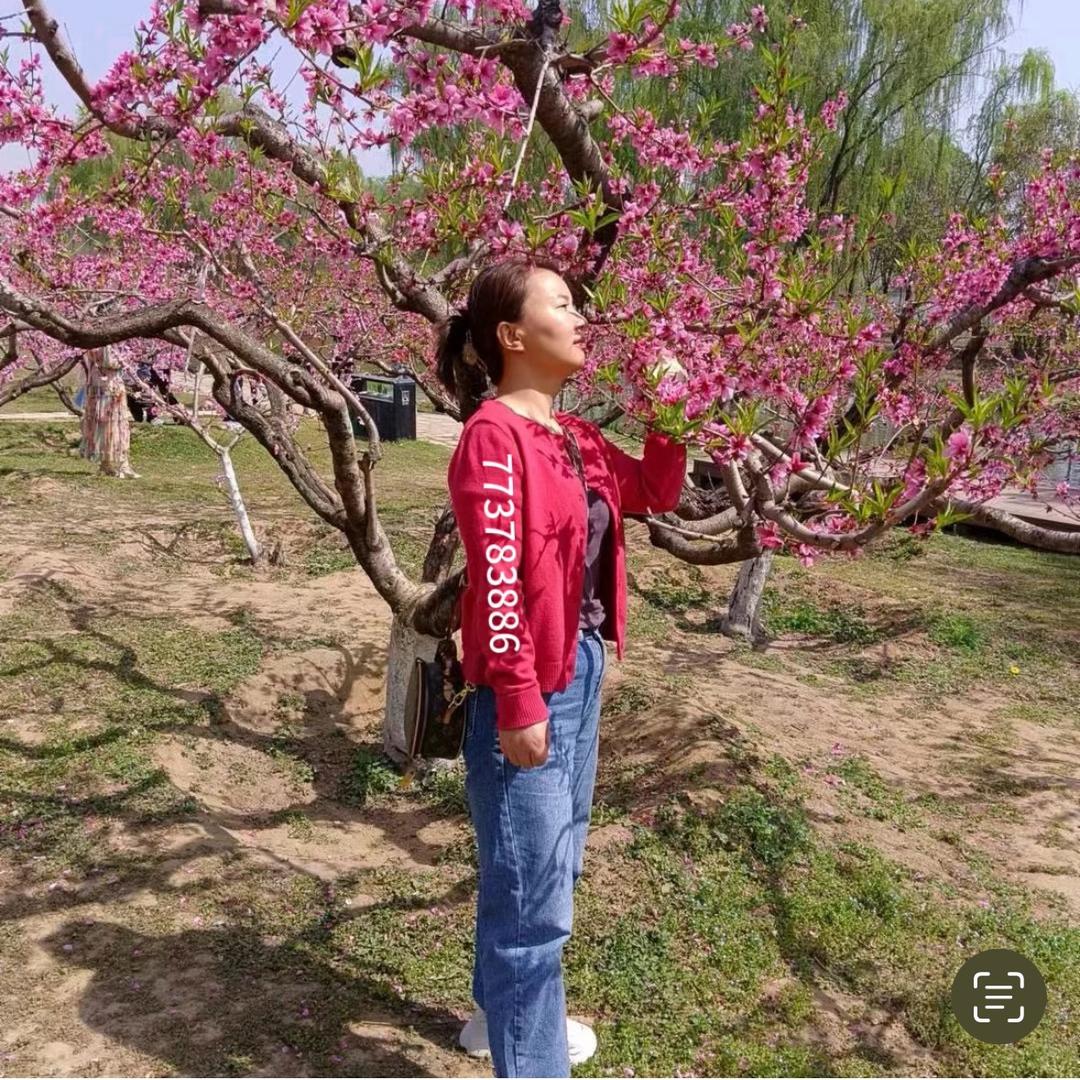 香草🌿～丽姐