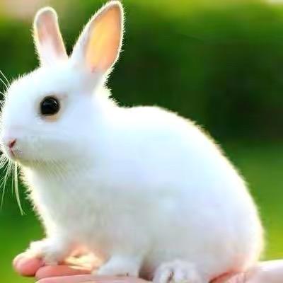 好好爱❤️自己