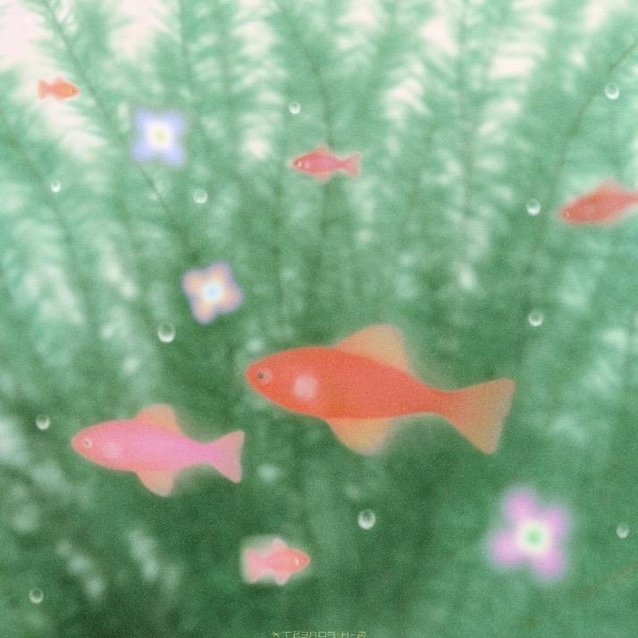 鱼块