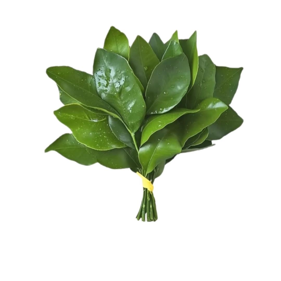 你大爷