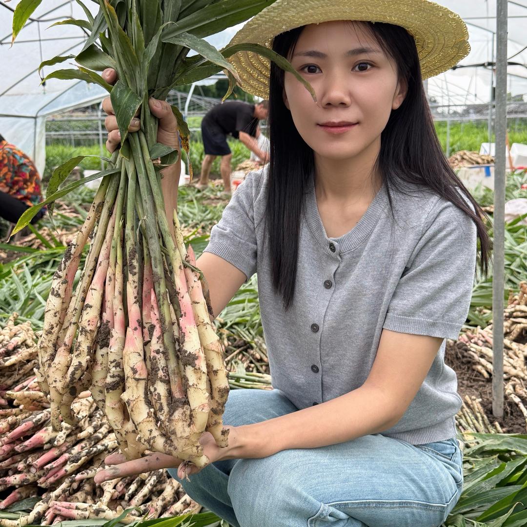 文子生鲜鲜。