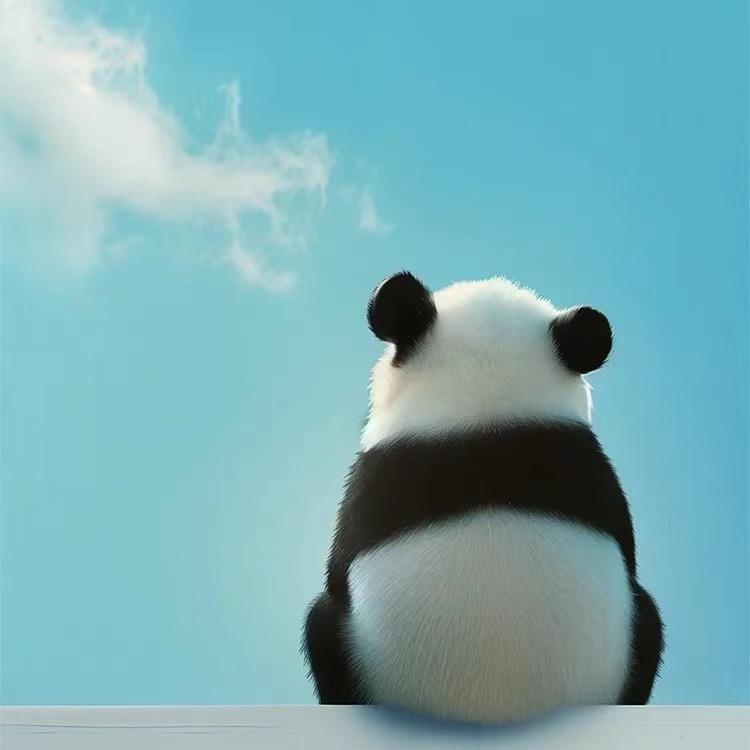 木心木肺活着不累