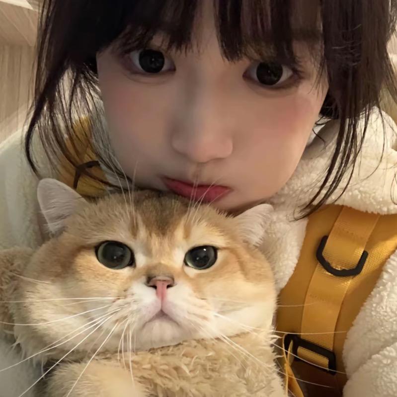 在毅淇～