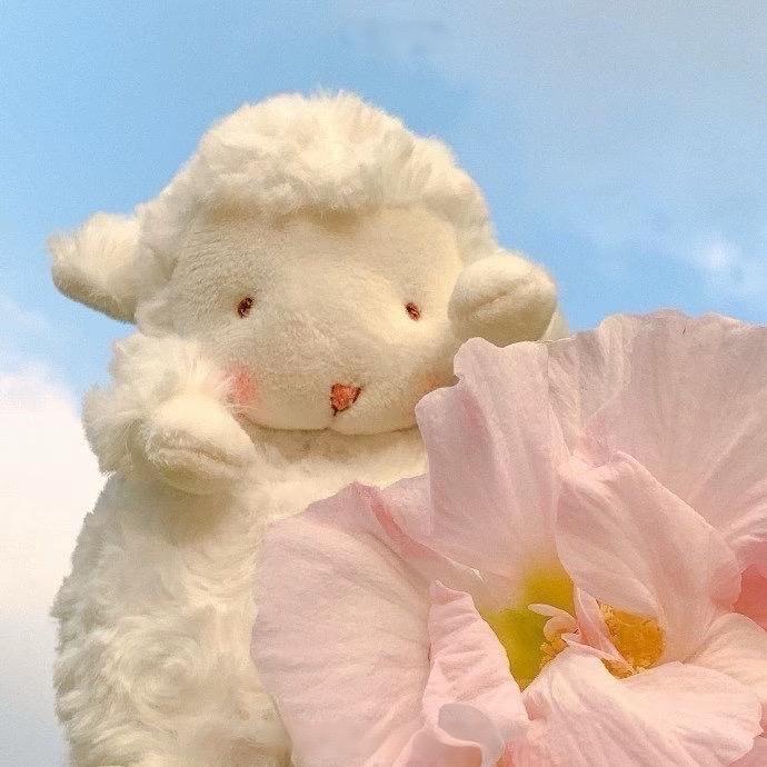 芝士塔