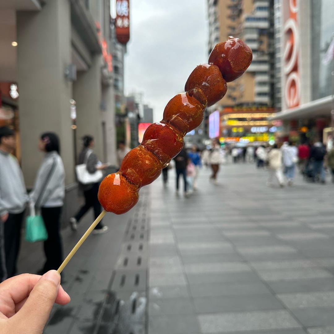 采菊东篱下