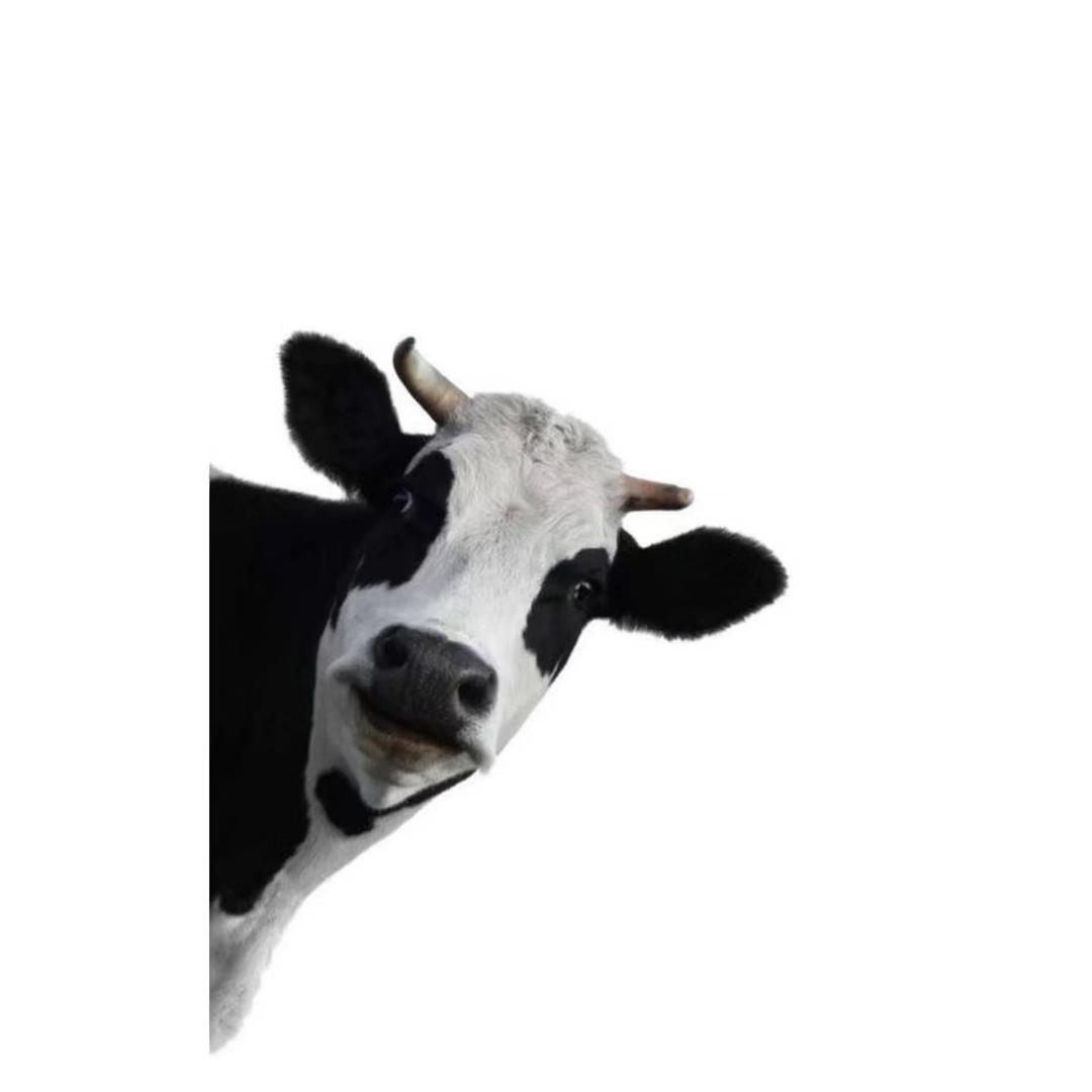 抖音我只刷甜妹