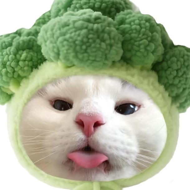 橙甜甜