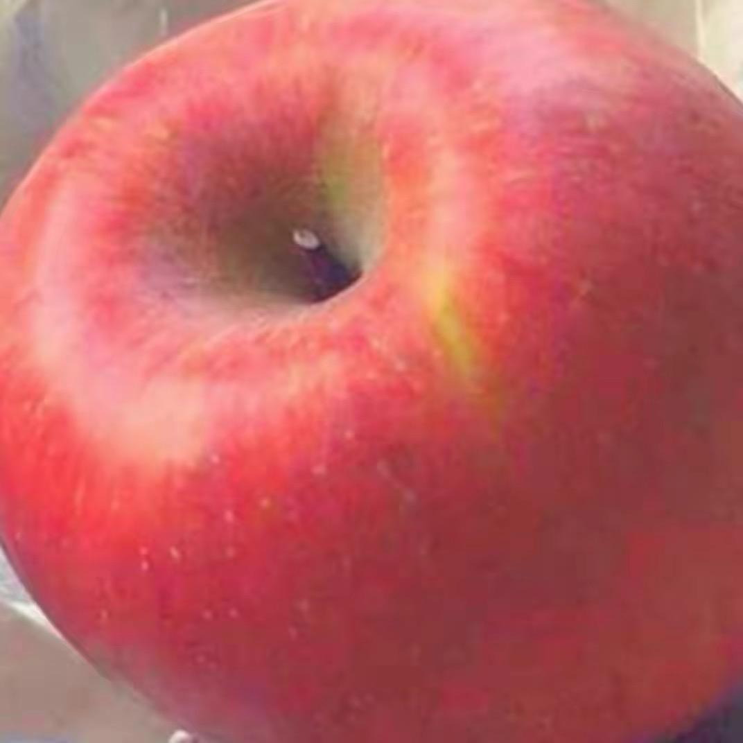 卷毛