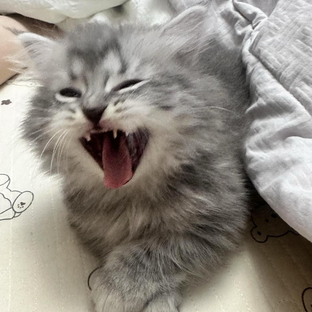 🧊