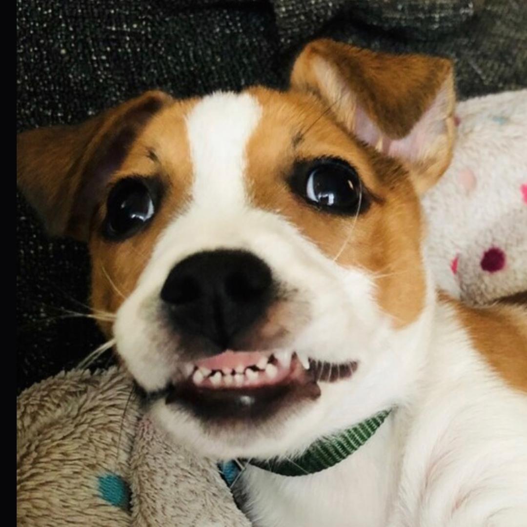 总在凌晨想起你