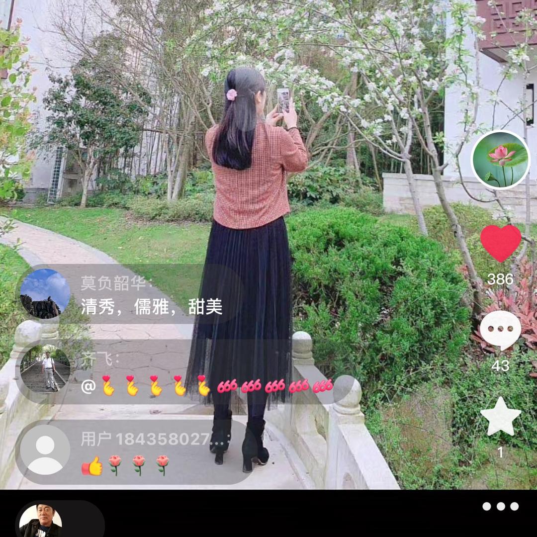 青山依旧
