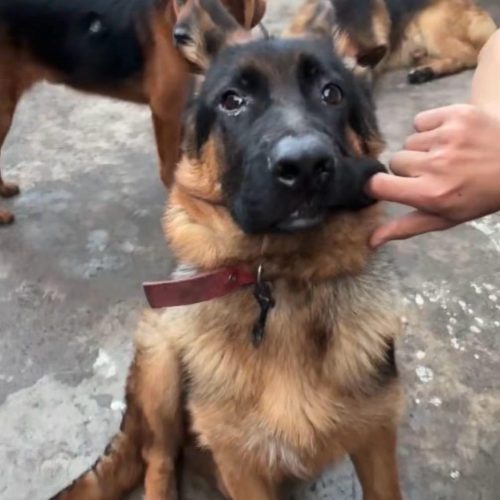 ￴ ￴ ￴ ￴ ￴ ￴￴ ￴ ￴