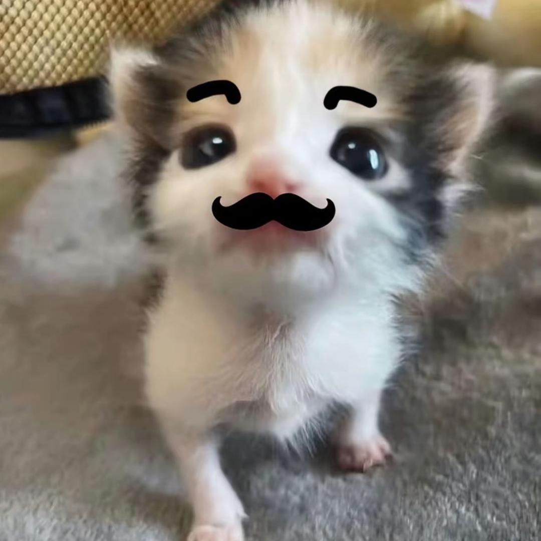好运菠萝