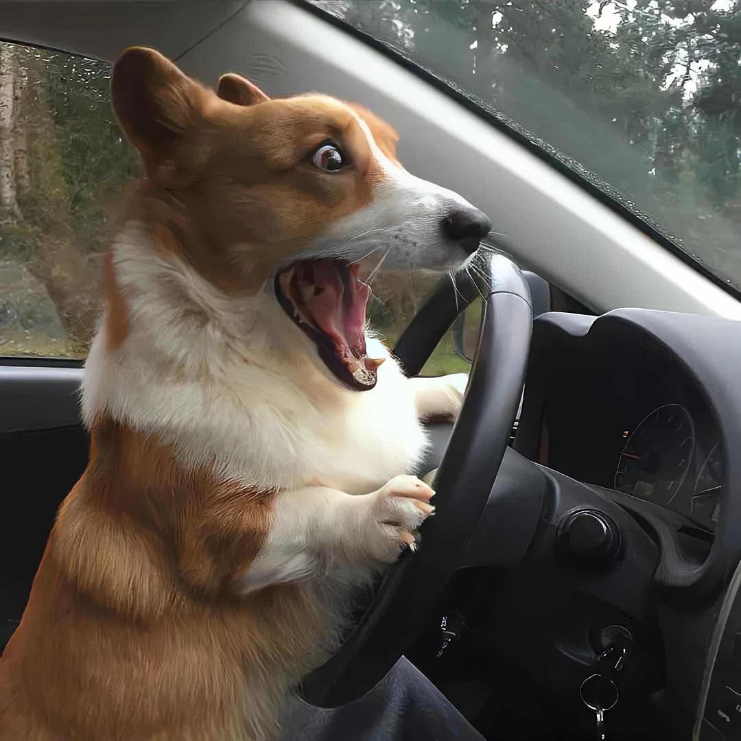 ooooo
