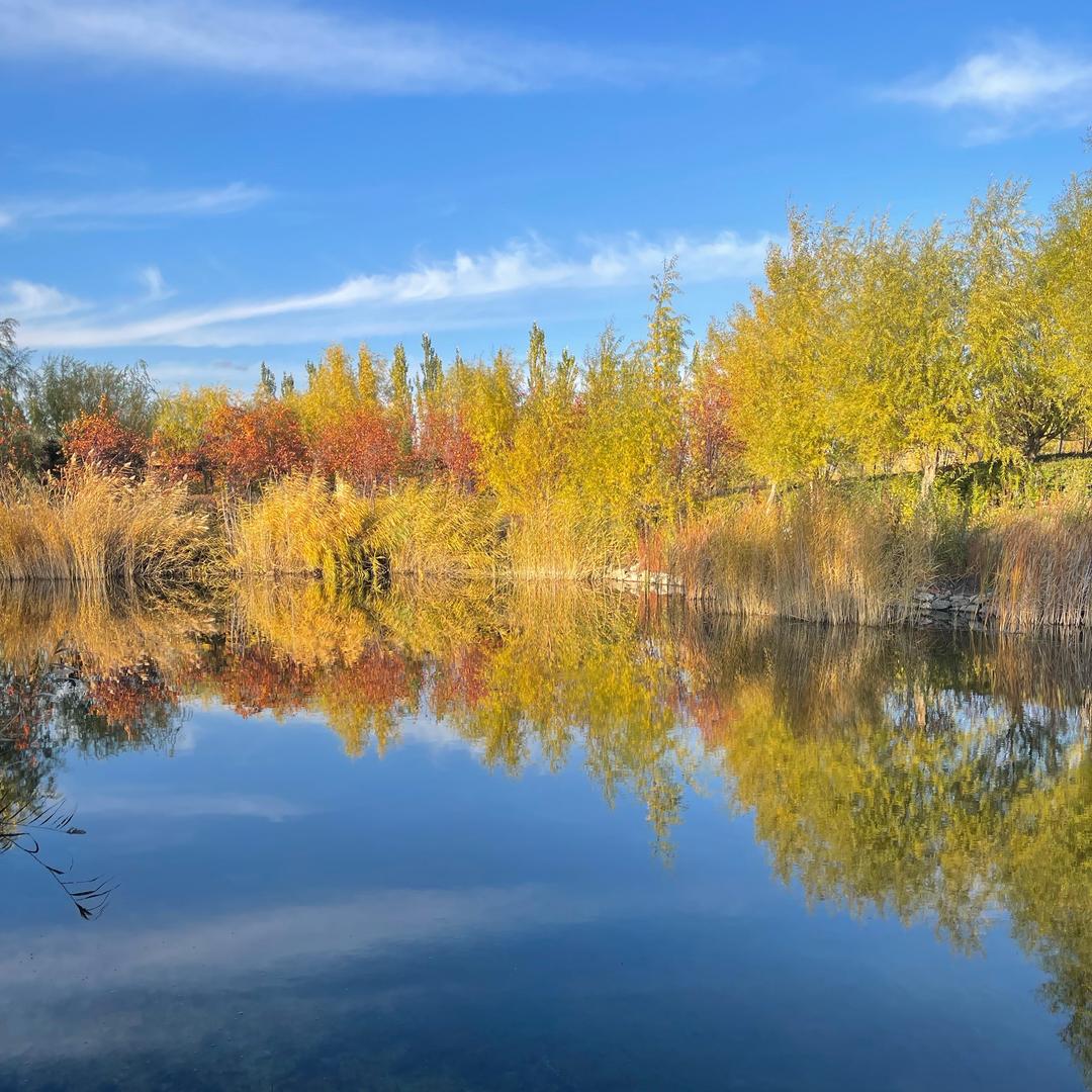 💋删除过往🌞