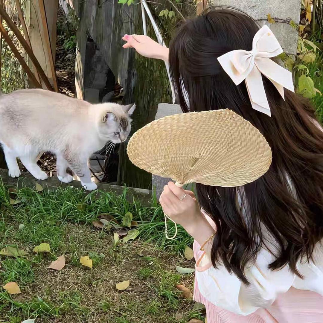 亦月