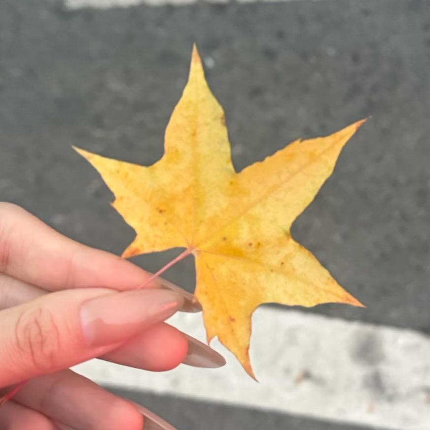 偷偷藏不住钱
