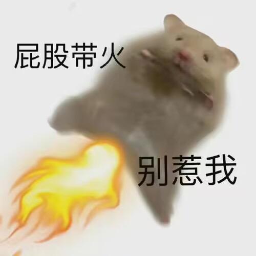 桃奈.