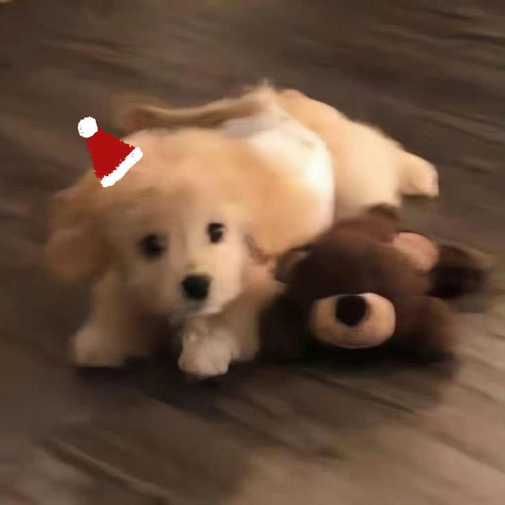 chloee