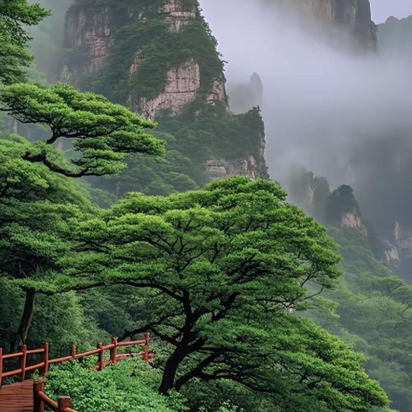 洛鑫