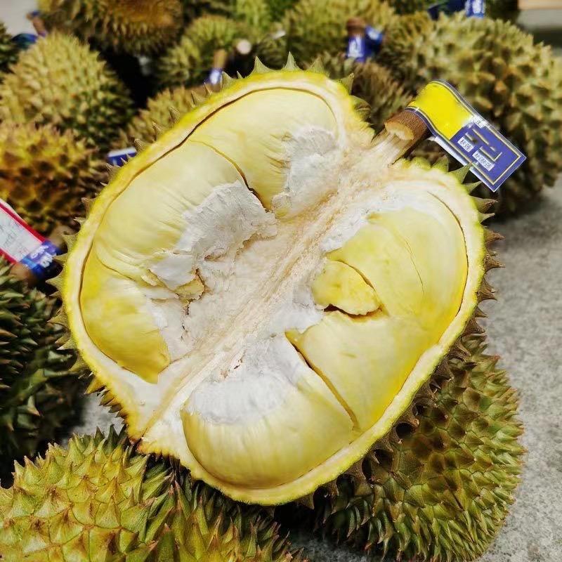 榴莲很哇塞