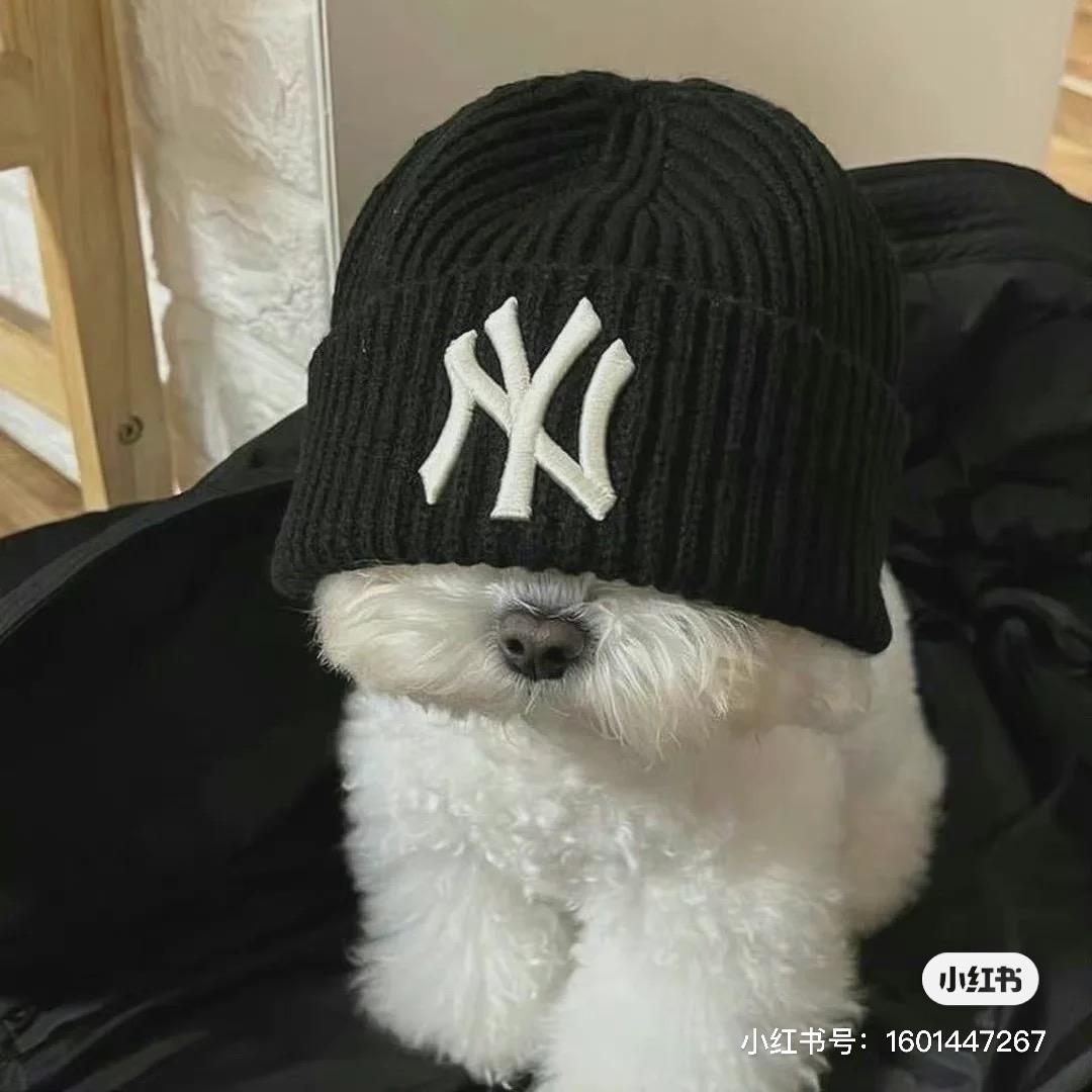 你瘦你先吃。