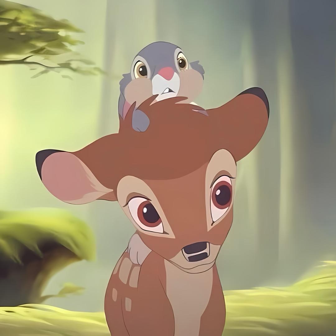 唏哩呼噜睡大觉