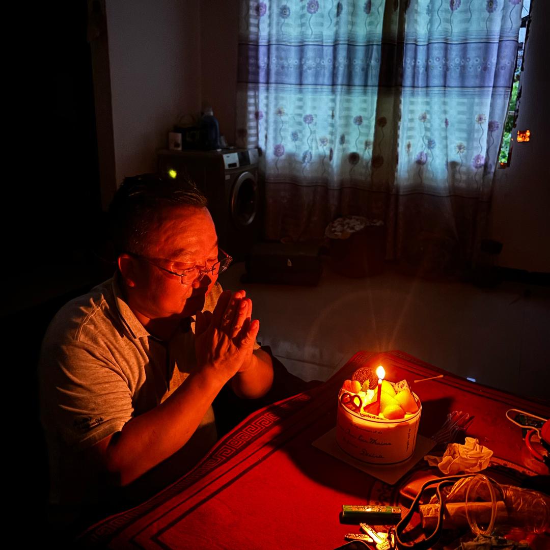 我的青春喂了狗