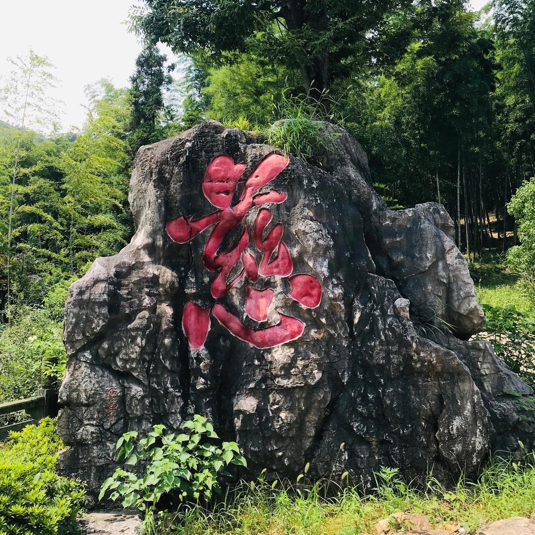 一路向阳🌼