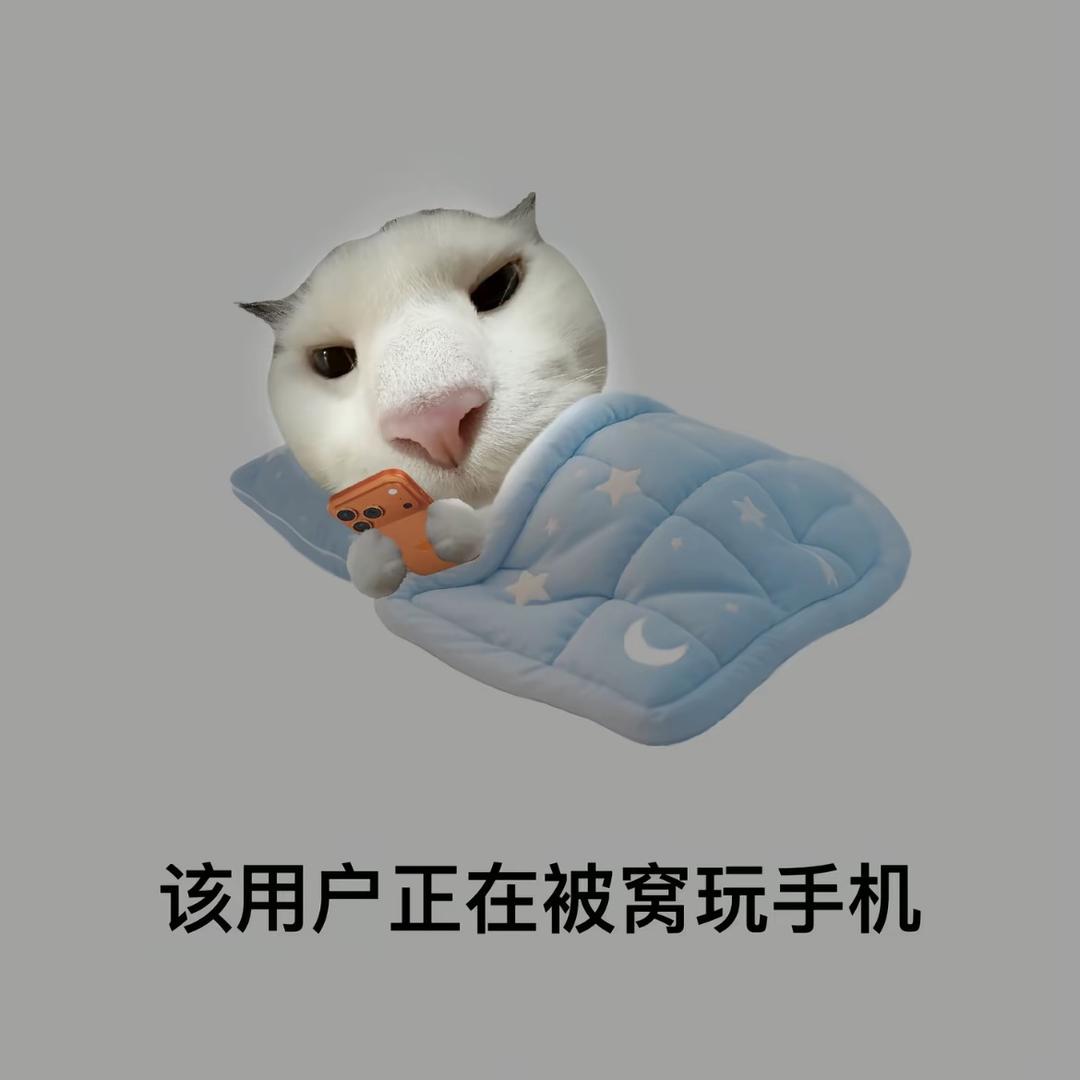 香酥炸鱼干