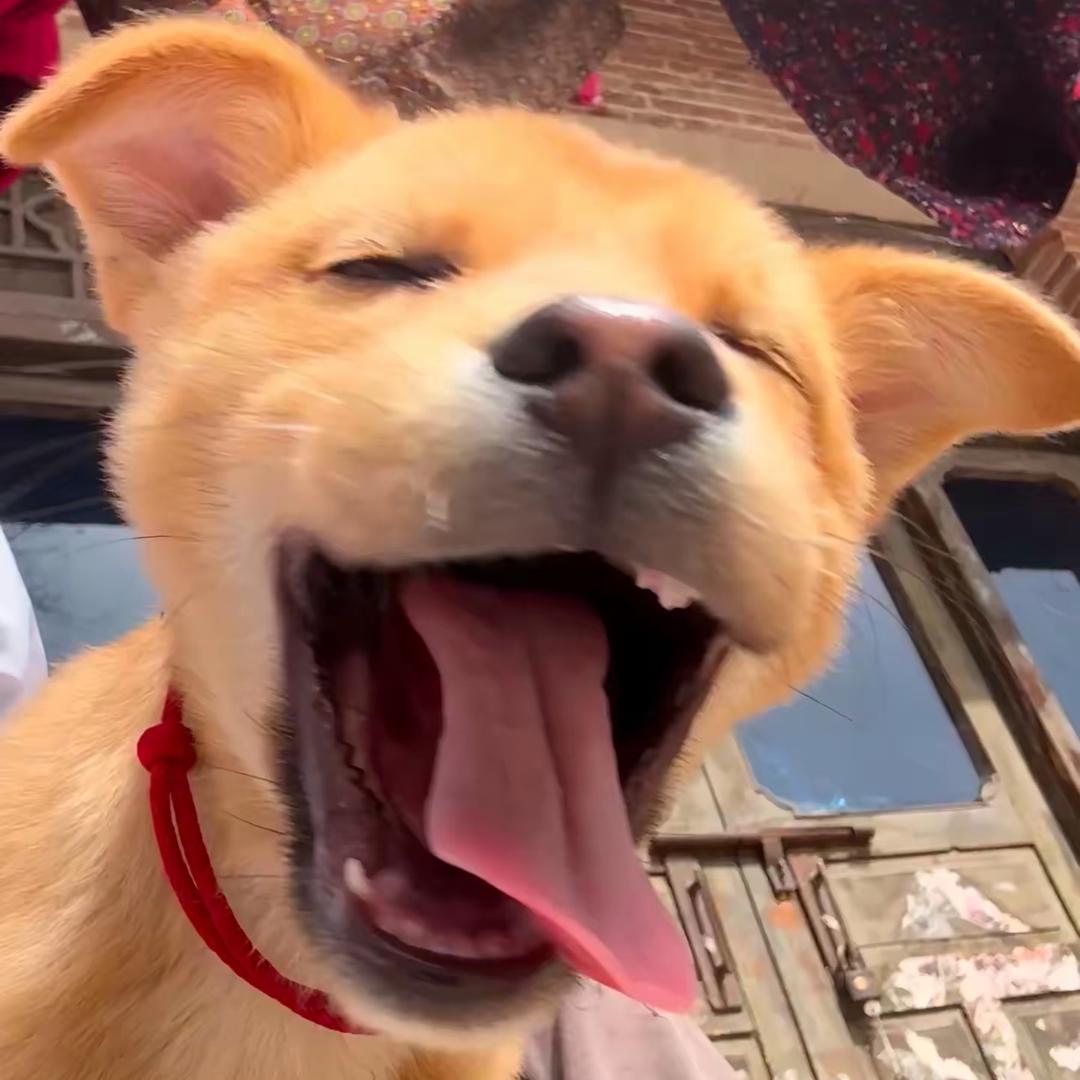 不会上篮