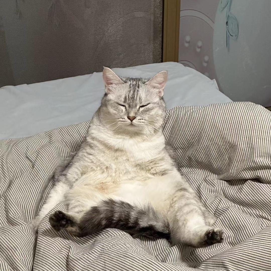 想喝老火汤