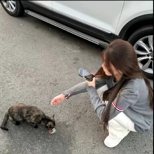 任性的河南人