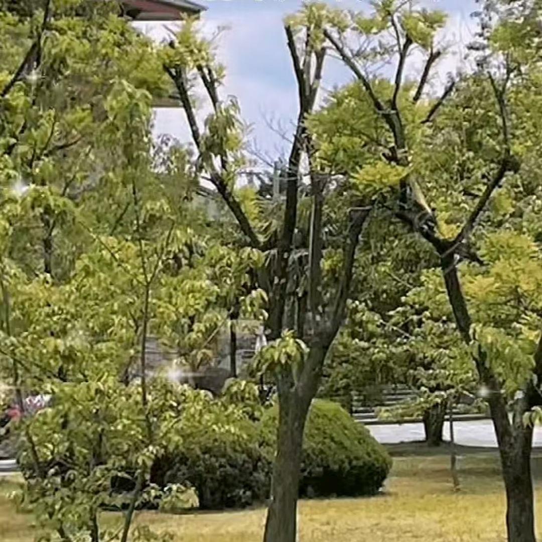 朗天物业品质服务小铺