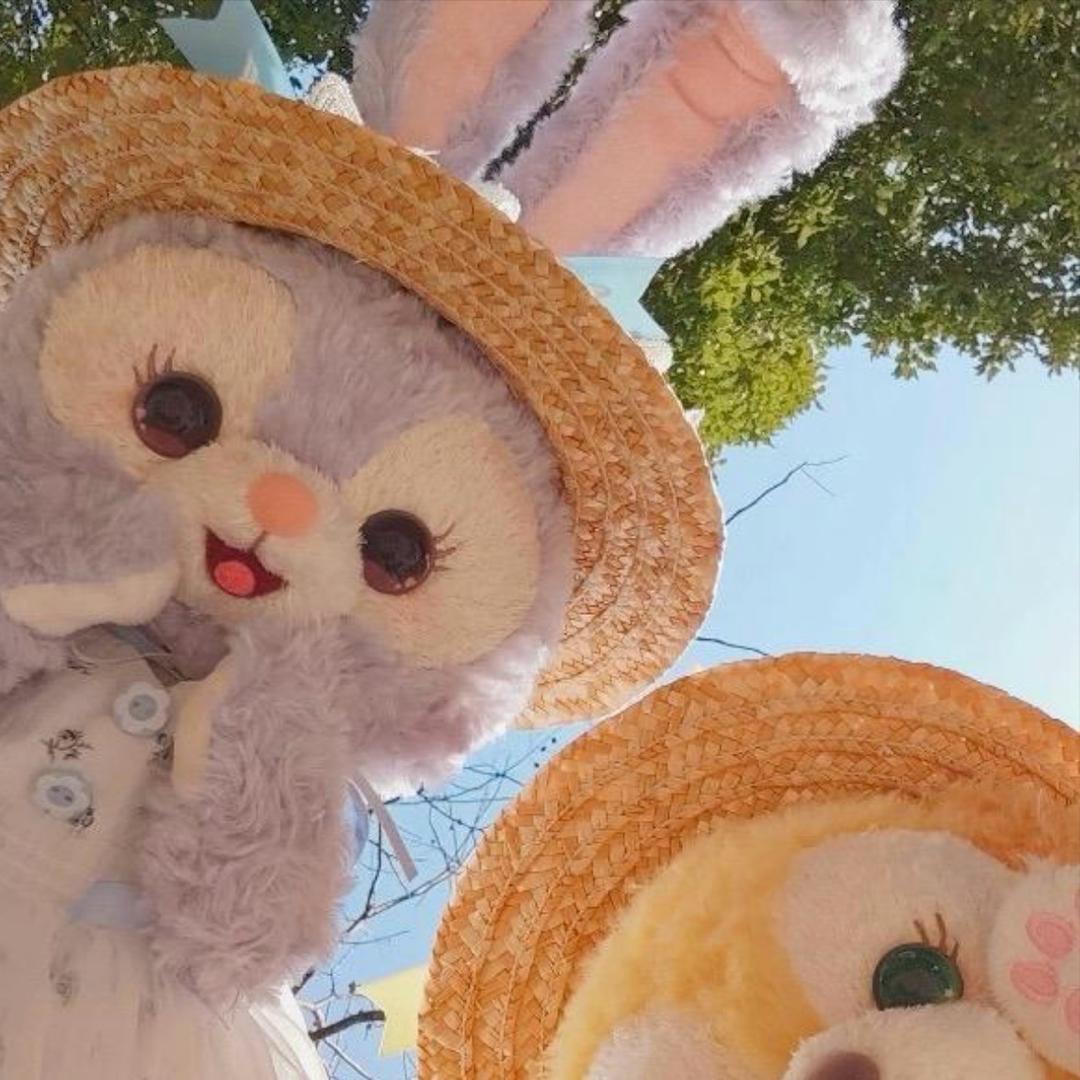 来了妹妹