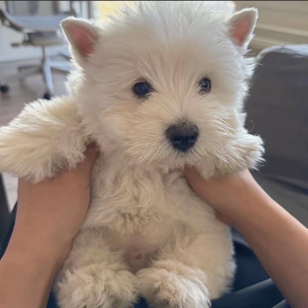 郝邵文生活小超市¥