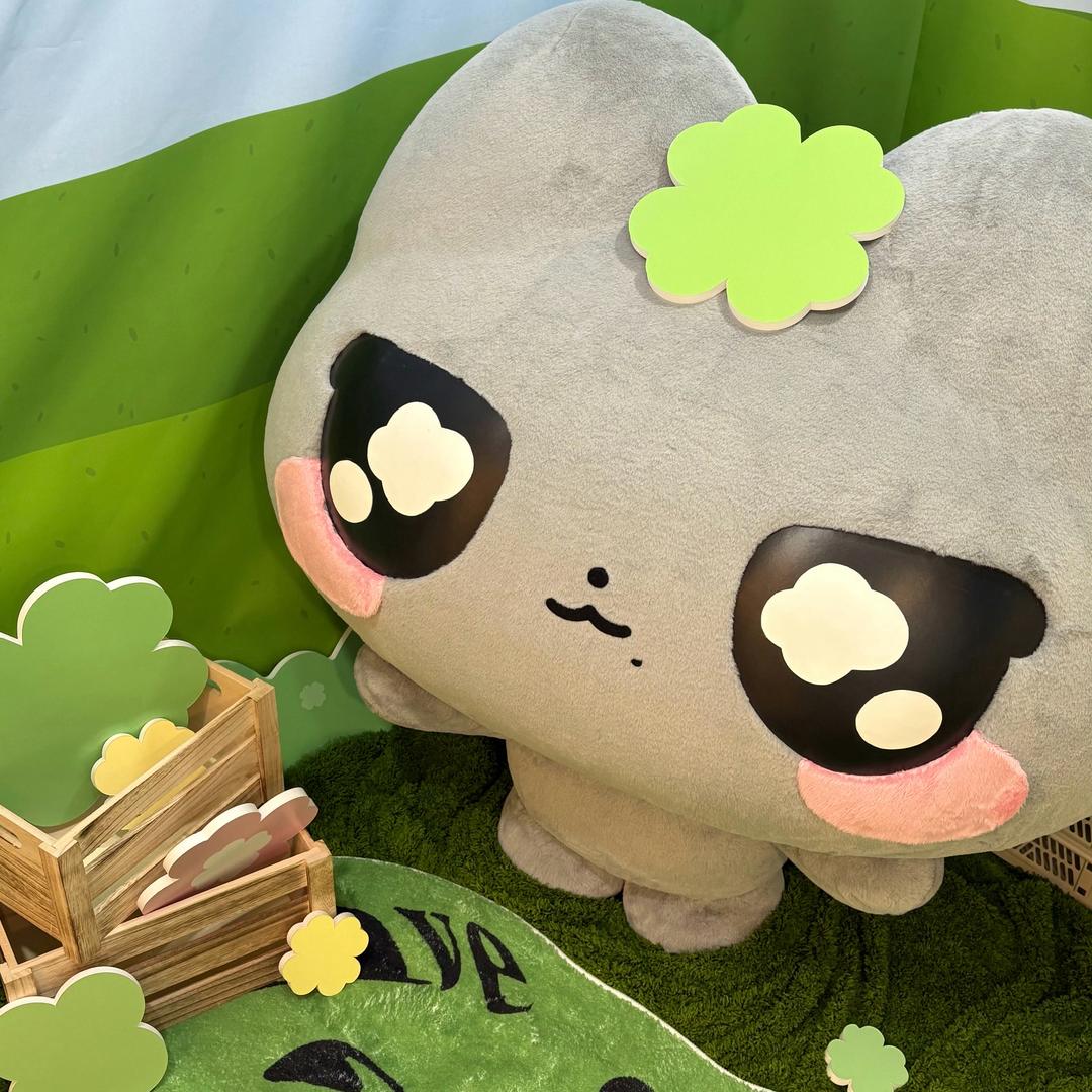 布丁小猫恰拉面