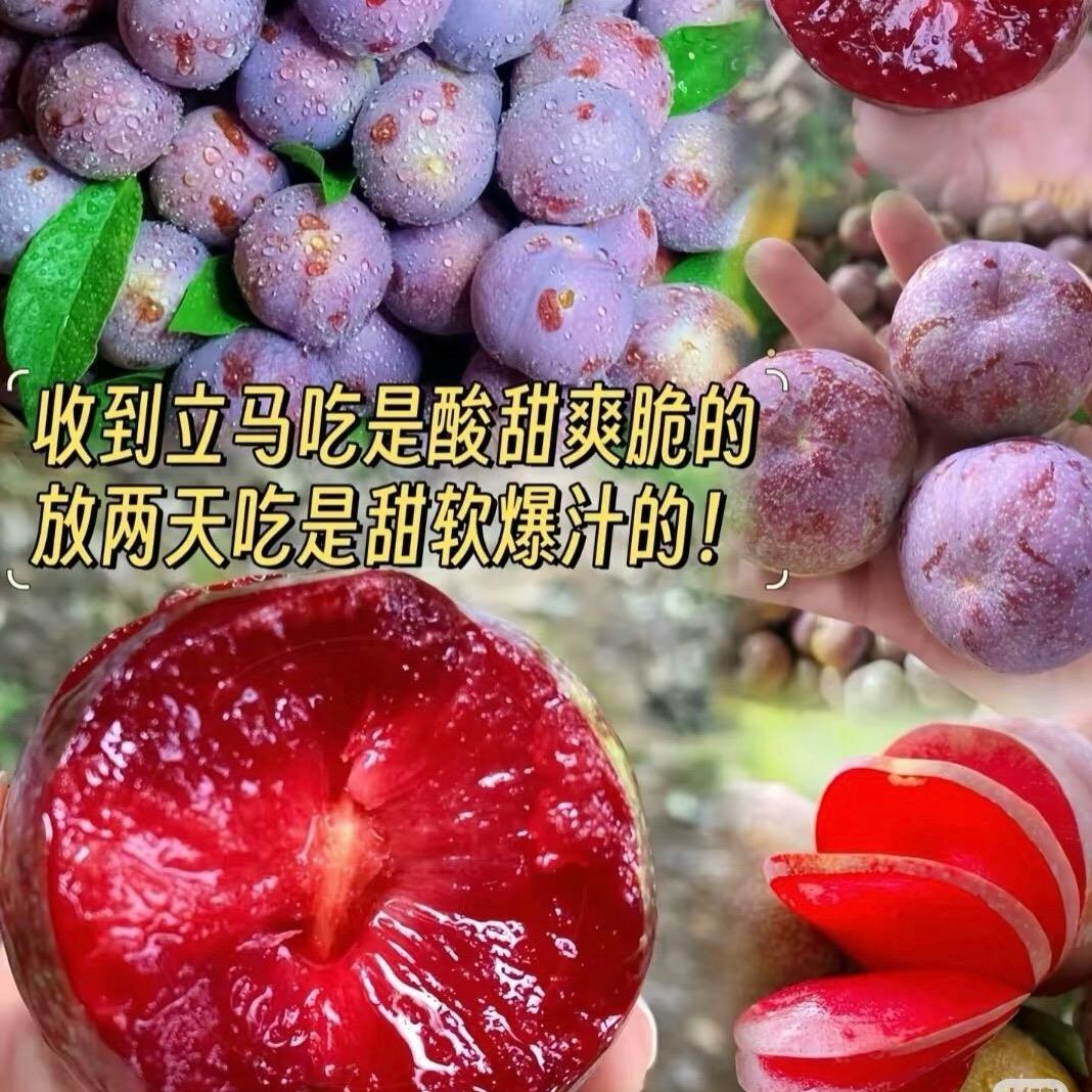 苏苏优选