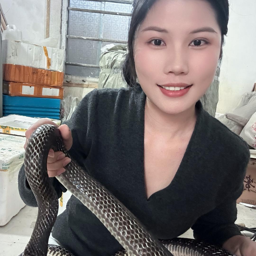 蓝妹妹爱养🐍
