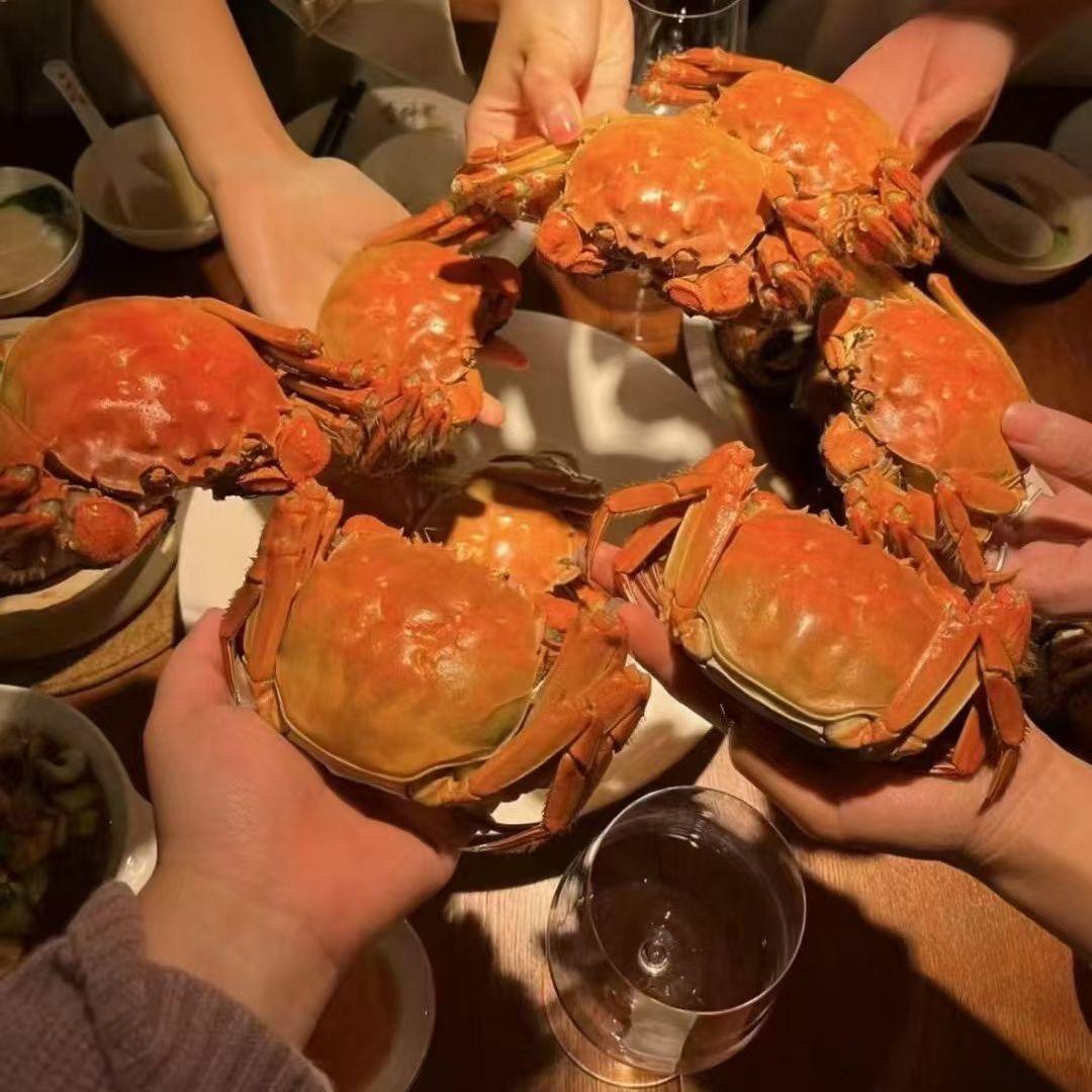 孙震特色农产品精选