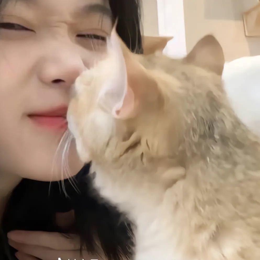 Niko彩妆