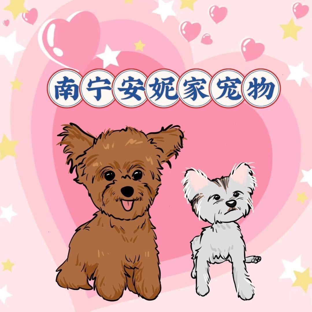 安妮家🎀宠物工作室🐶