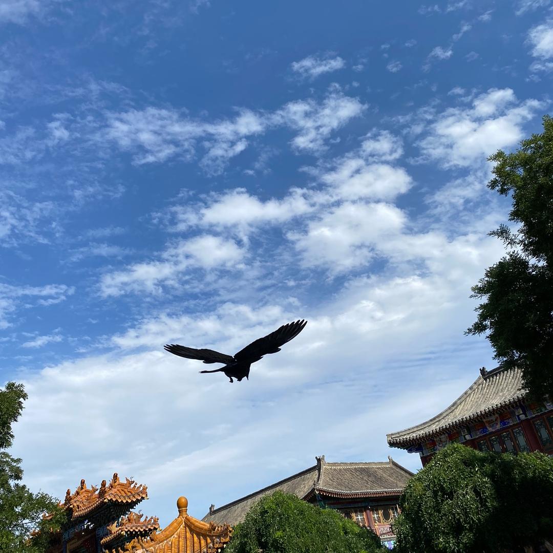 晋州市拉发基龙骨厂